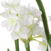 Uttermost Home Decor Uttermost Lacey Daffodil Accent Arrangement