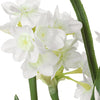 Uttermost Home Decor Uttermost Lacey Daffodil Accent Arrangement