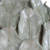 Uttermost Lighting Uttermost Levlyn Pale Green Table Lamp