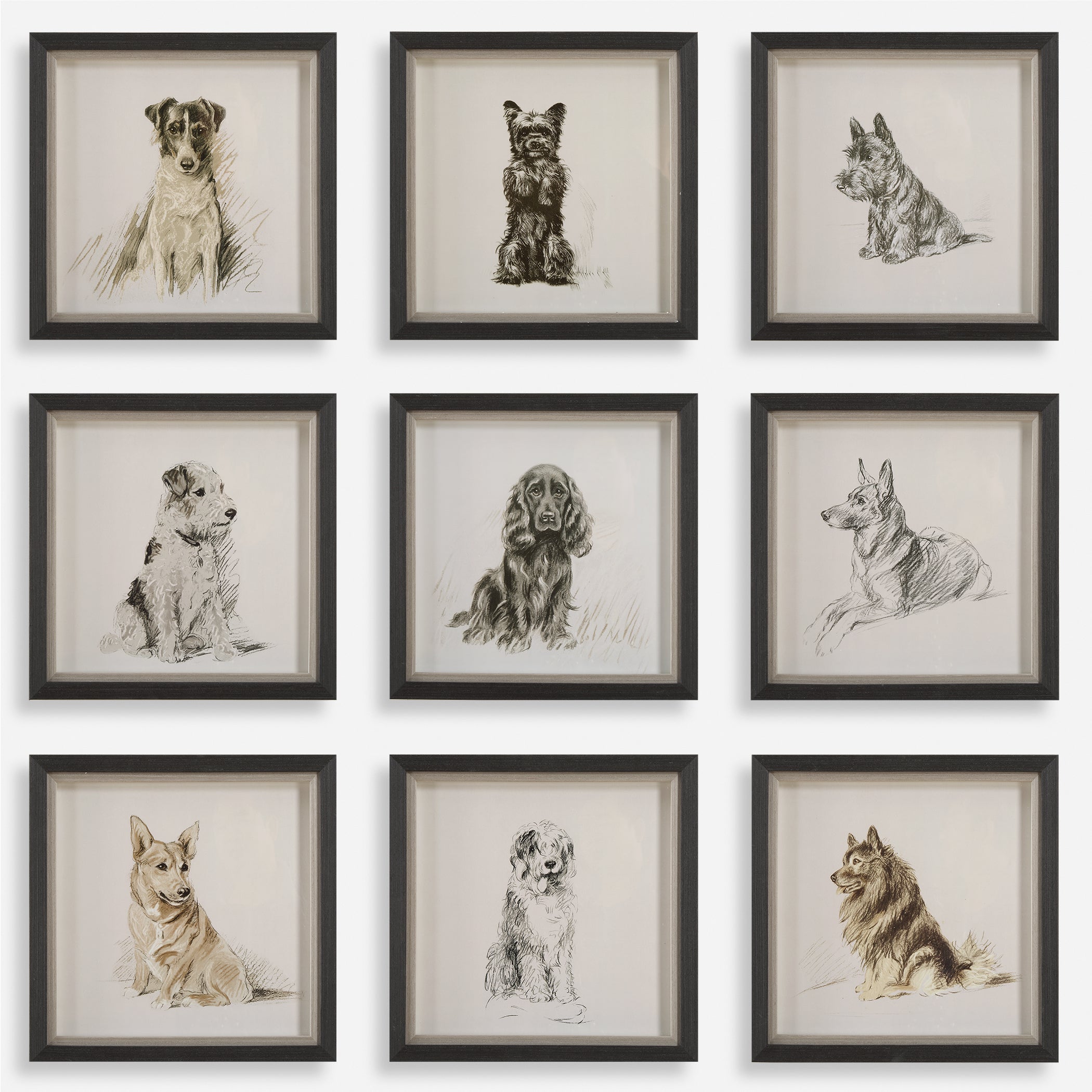 Uttermost Home Decor Uttermost Loyal Companion Framed Dog Prints, S/9