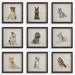 Uttermost Home Decor Uttermost Loyal Companion Framed Dog Prints, S/9