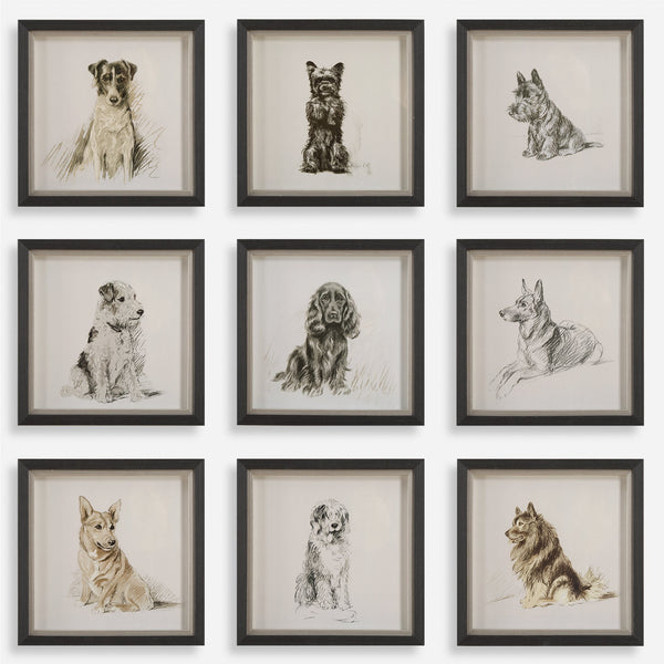 Uttermost Home Decor Uttermost Loyal Companion Framed Dog Prints, S/9