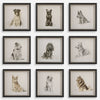 Uttermost Home Decor Uttermost Loyal Companion Framed Dog Prints, S/9