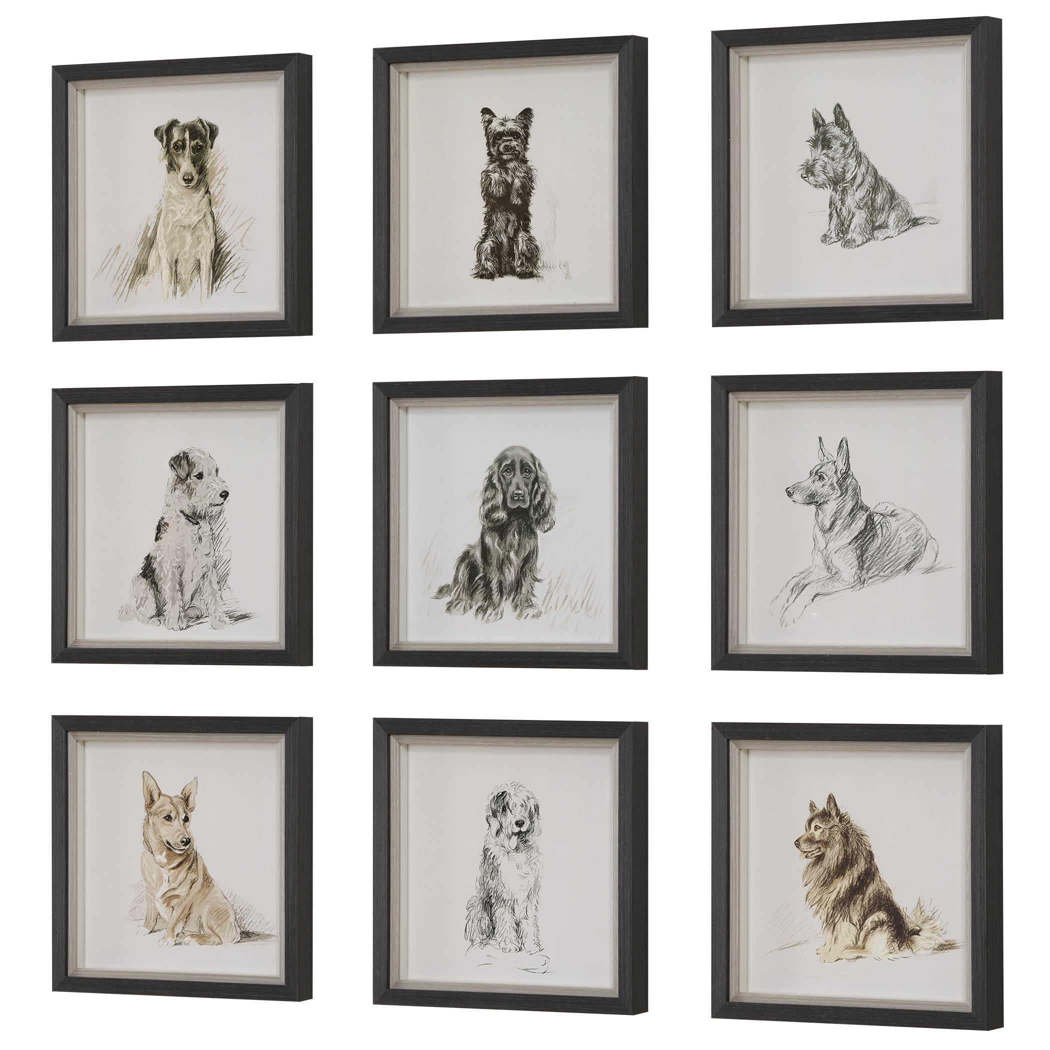 Uttermost Home Decor Uttermost Loyal Companion Framed Dog Prints, S/9