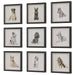 Uttermost Home Decor Uttermost Loyal Companion Framed Dog Prints, S/9