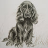 Uttermost Home Decor Uttermost Loyal Companion Framed Dog Prints, S/9