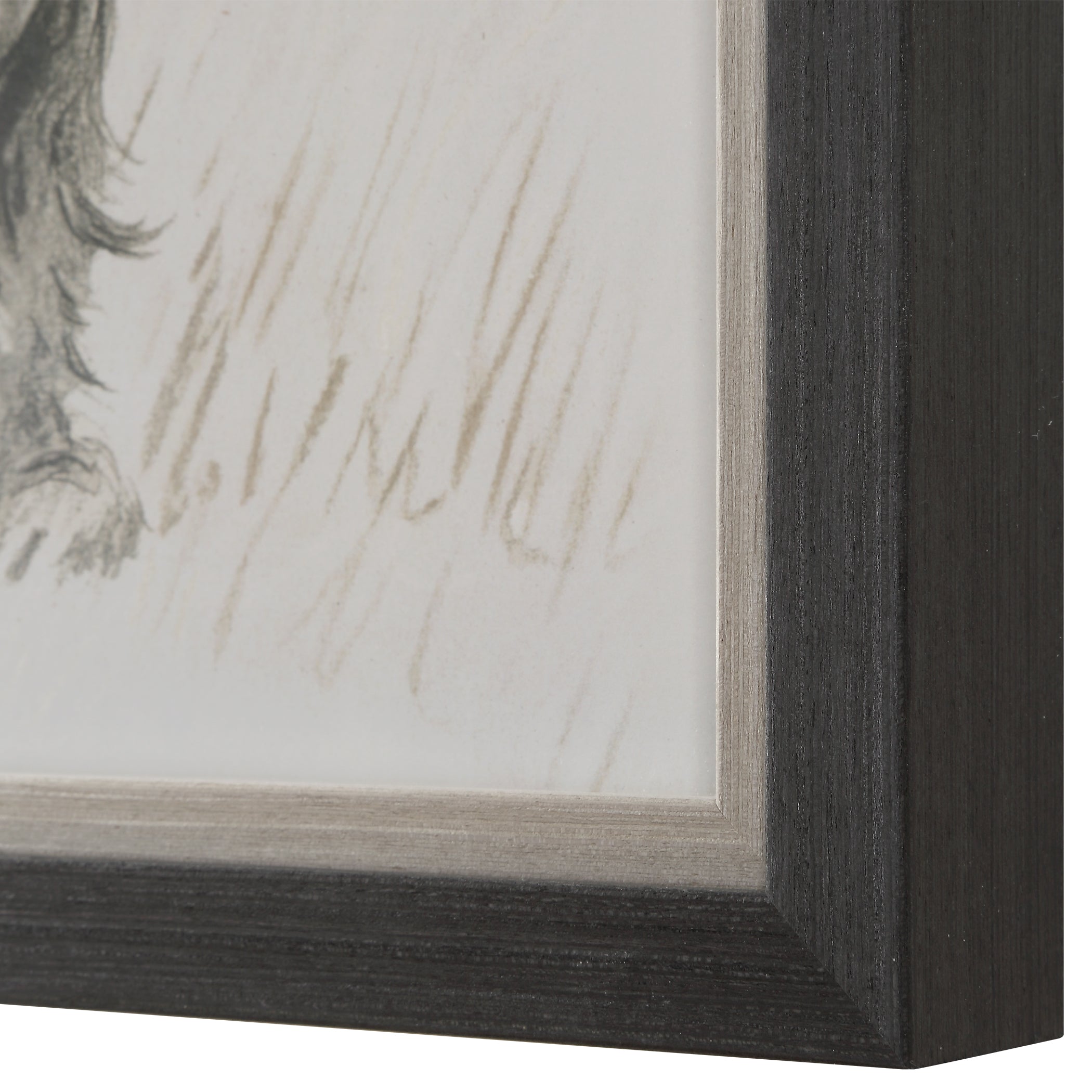 Uttermost Home Decor Uttermost Loyal Companion Framed Dog Prints, S/9