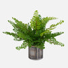 Uttermost Home Decor Uttermost Maidenhair Fern In Oxidized Container