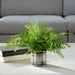 Uttermost Home Decor Uttermost Maidenhair Fern In Oxidized Container
