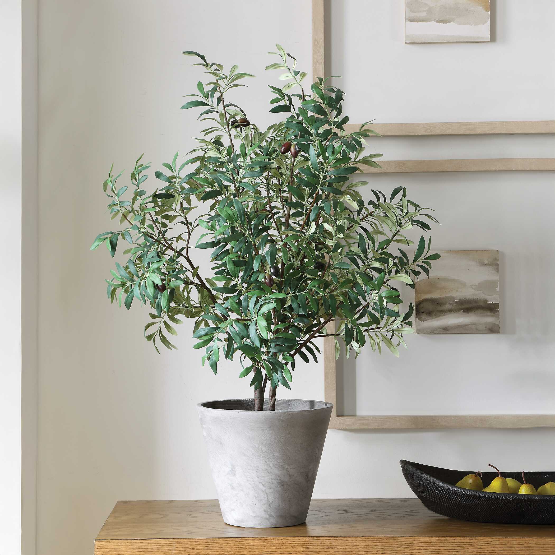 Uttermost Uttermost Marisol Potted Olive Plant
