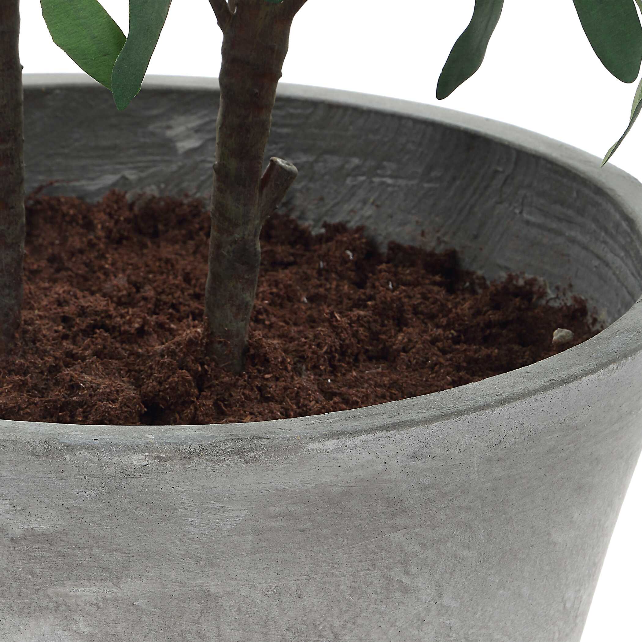 Uttermost Uttermost Marisol Potted Olive Plant
