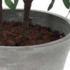 Uttermost Uttermost Marisol Potted Olive Plant