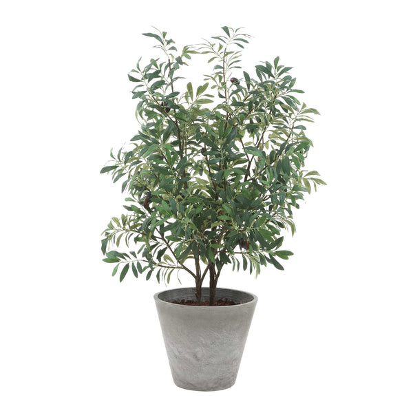 Uttermost Uttermost Marisol Potted Olive Plant