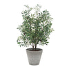 Uttermost Uttermost Marisol Potted Olive Plant