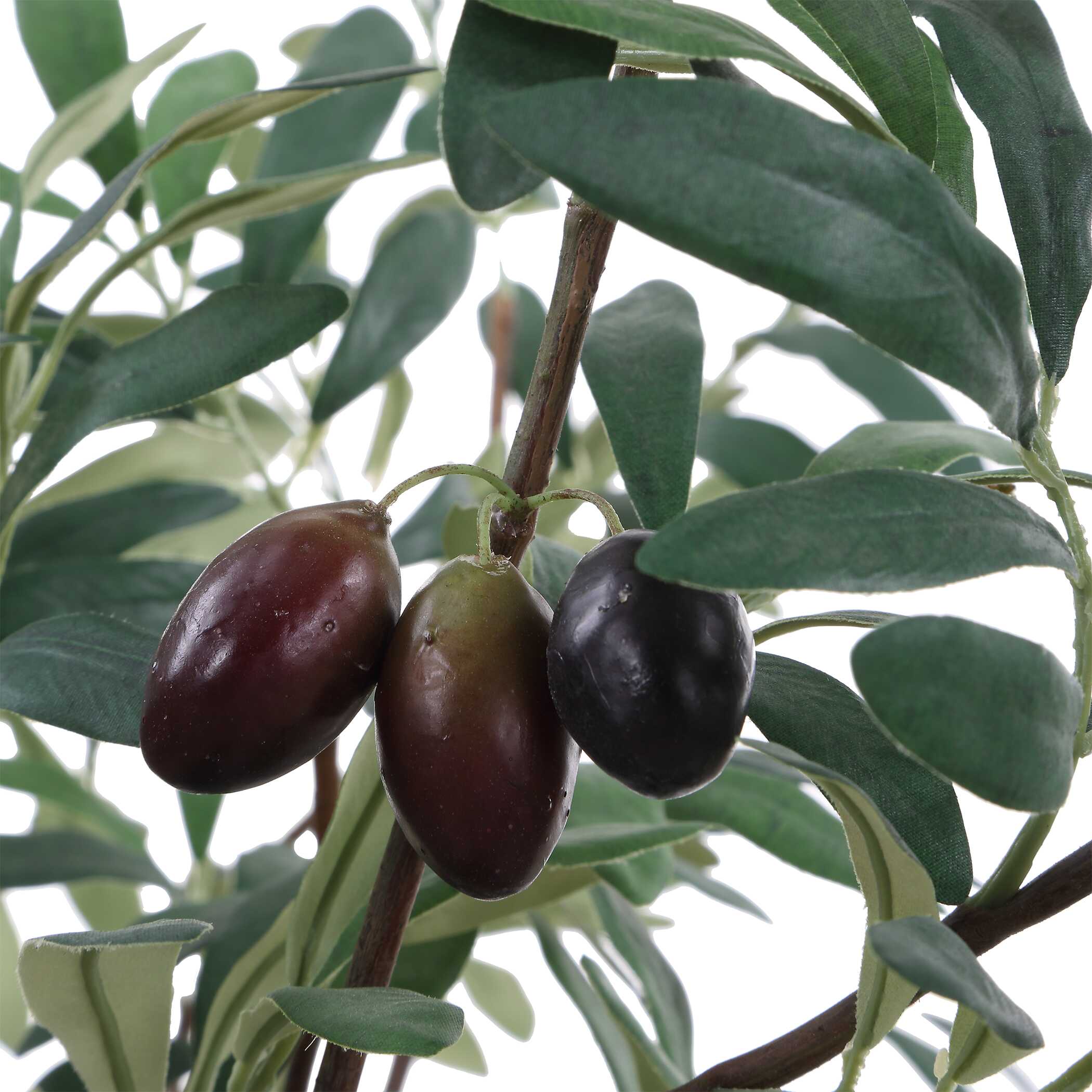 Uttermost Uttermost Marisol Potted Olive Plant