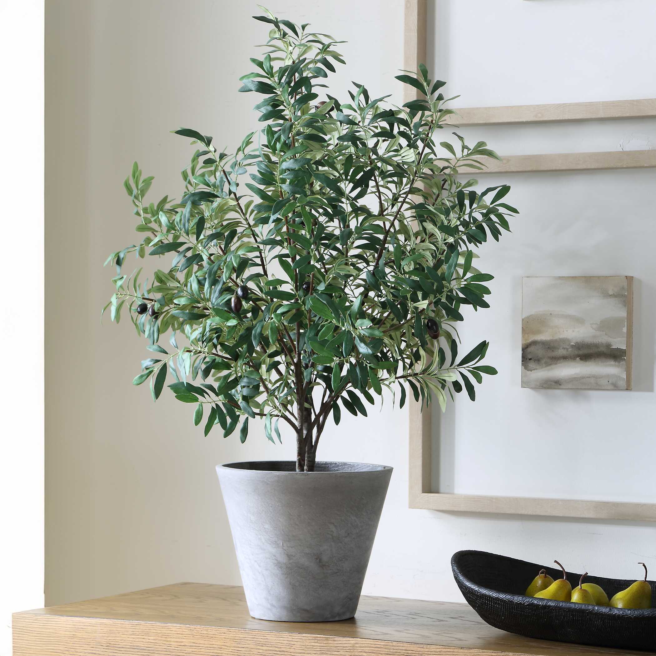 Uttermost Uttermost Marisol Potted Olive Plant
