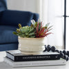 Uttermost Home Uttermost Mesa Succulent Accent