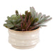 Uttermost Home Uttermost Mesa Succulent Accent
