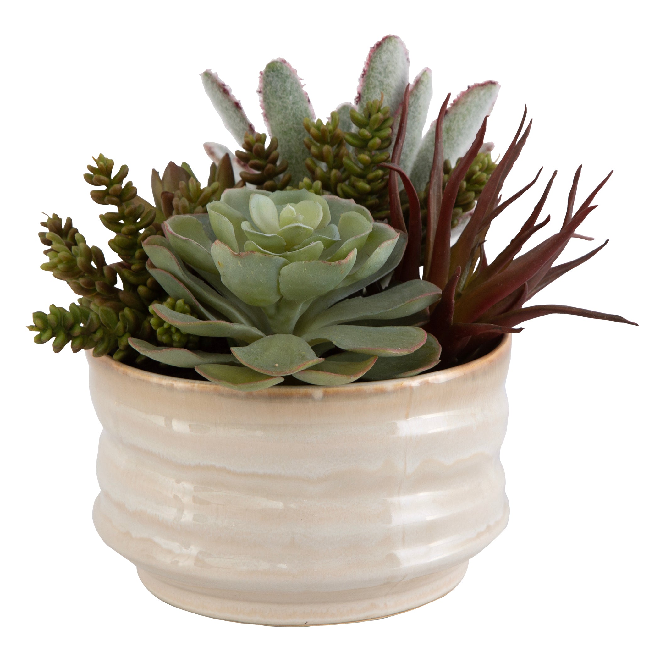 Uttermost Home Uttermost Mesa Succulent Accent