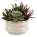 Uttermost Home Uttermost Mesa Succulent Accent