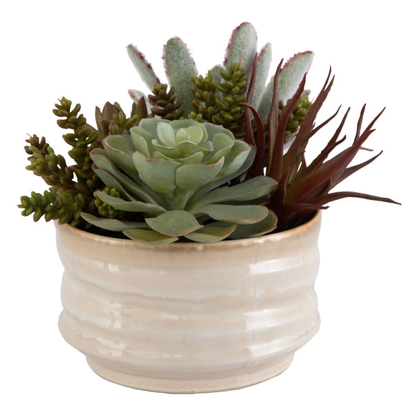 Uttermost Home Uttermost Mesa Succulent Accent