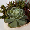 Uttermost Home Uttermost Mesa Succulent Accent
