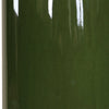 Uttermost Lighting Uttermost Nacua Green Table Lamp