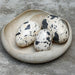 Uttermost Home Decor Uttermost Nest Trio Indoor-Outdoor Stone Eggs Set/3
