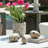 Uttermost Home Decor Uttermost Nest Trio Indoor-Outdoor Stone Eggs Set/3