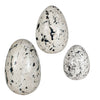 Uttermost Home Decor Uttermost Nest Trio Indoor-Outdoor Stone Eggs Set/3
