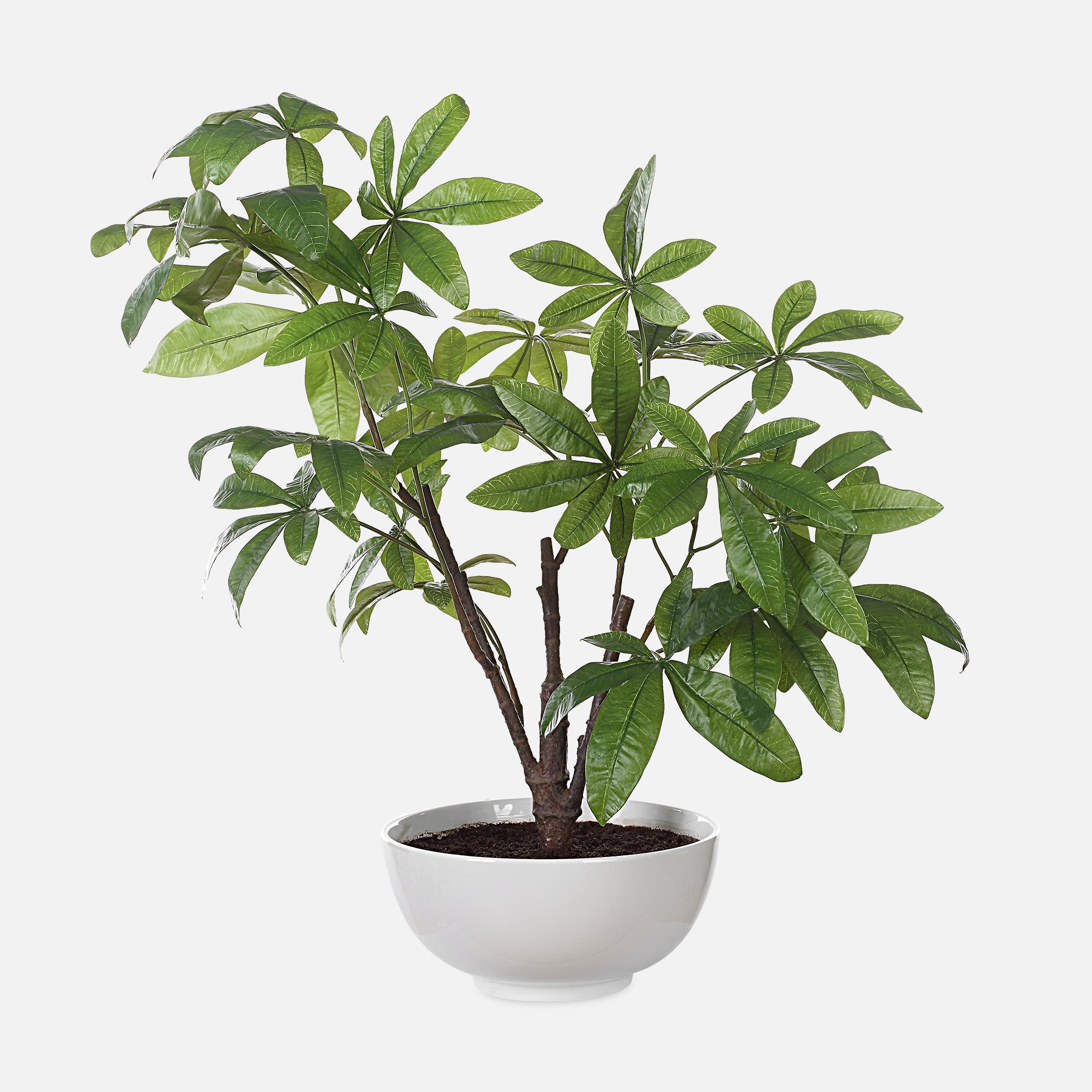 money tree plant decor Uttermost 60225 Pachira Money Tree
