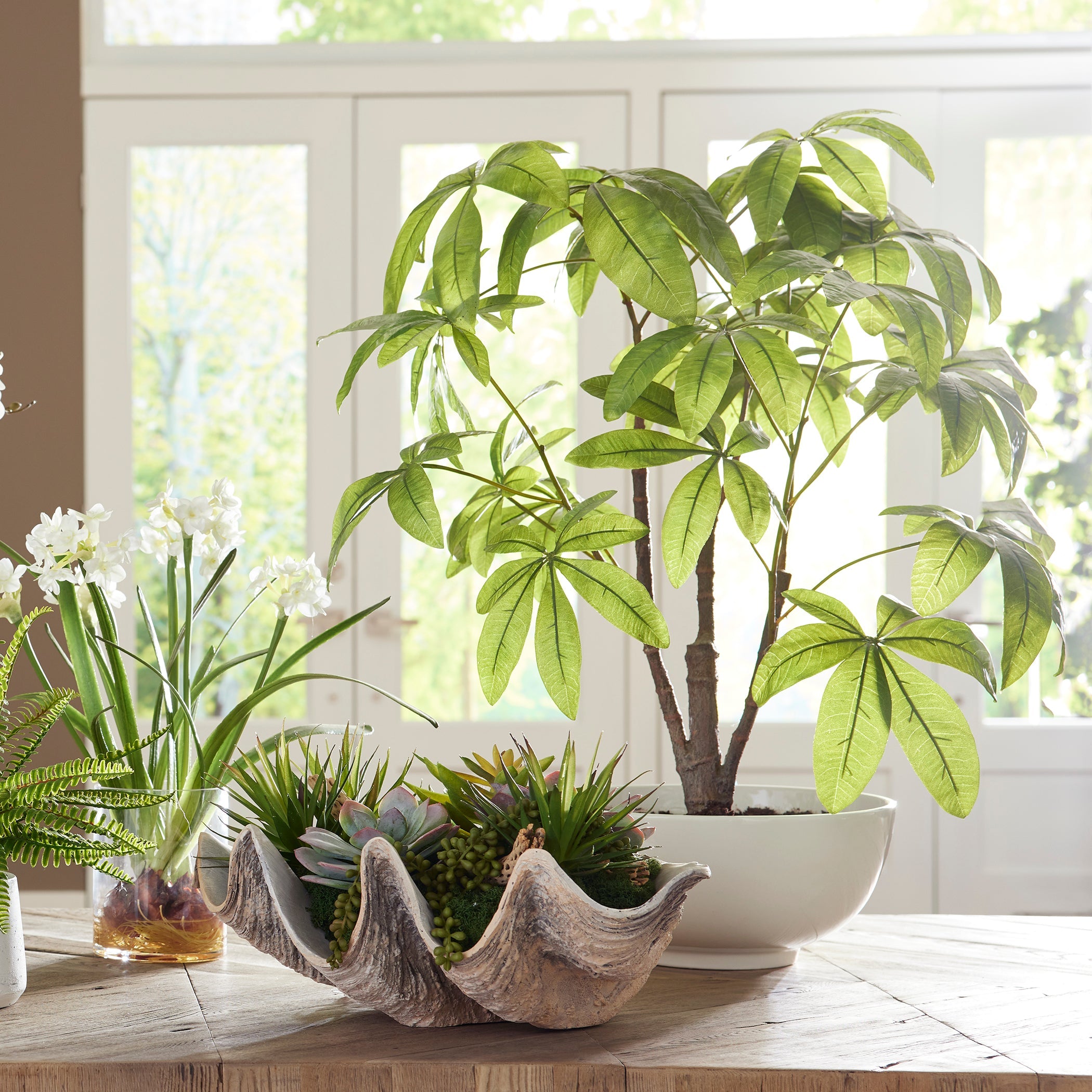 Uttermost Home Decor Uttermost Pachira Money Tree