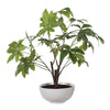 Uttermost Home Decor Uttermost Pachira Money Tree