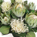 Uttermost Uttermost Protea Blooms White Bowl Centerpiece