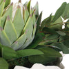 Uttermost Uttermost Protea Blooms White Bowl Centerpiece