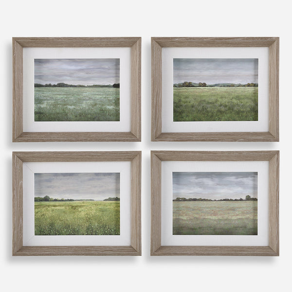 Uttermost Home Decor Uttermost Quiet Meadows Framed Prints, S/4