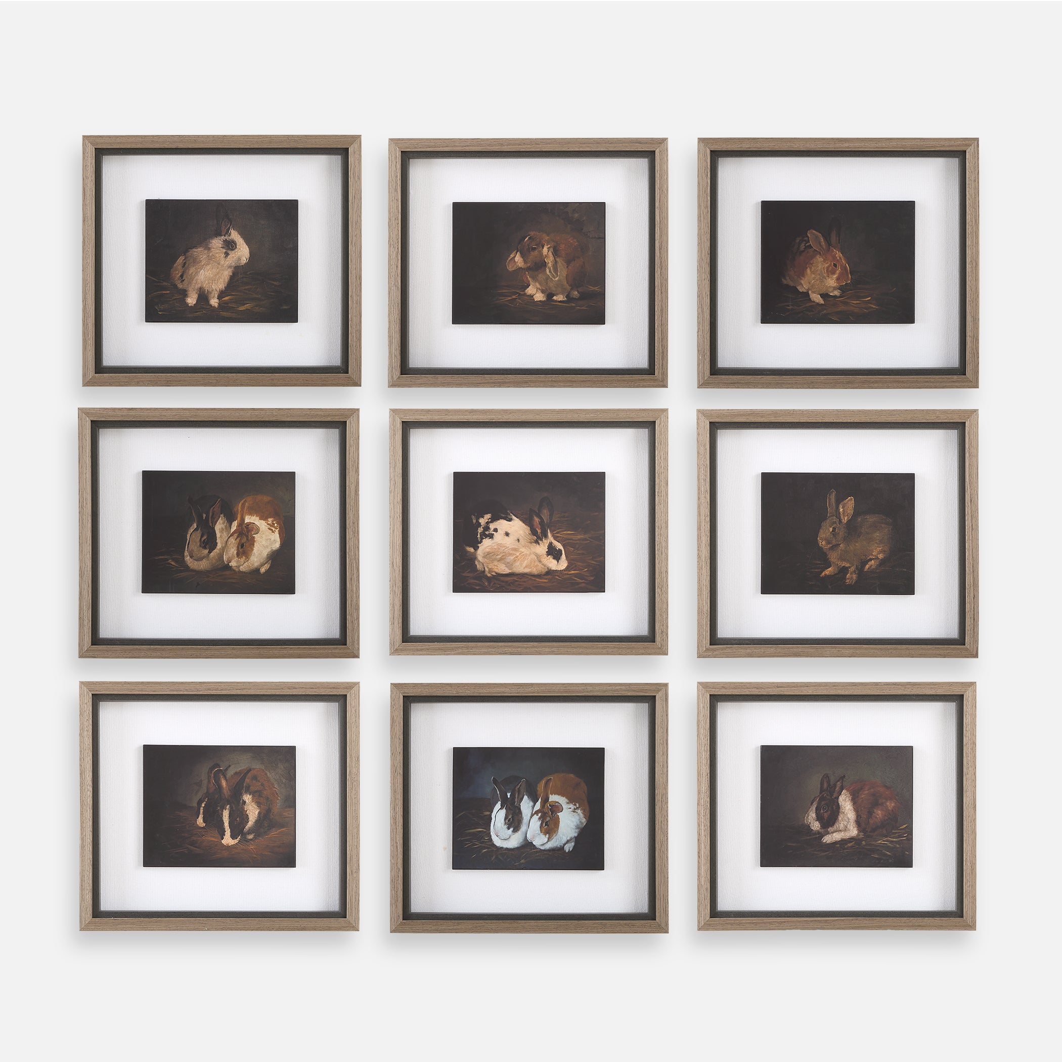 Uttermost Home Decor Uttermost Resting Bunny Framed Prints Set/9