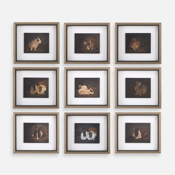 Uttermost Home Decor Uttermost Resting Bunny Framed Prints Set/9