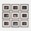 Uttermost Home Decor Uttermost Resting Bunny Framed Prints Set/9
