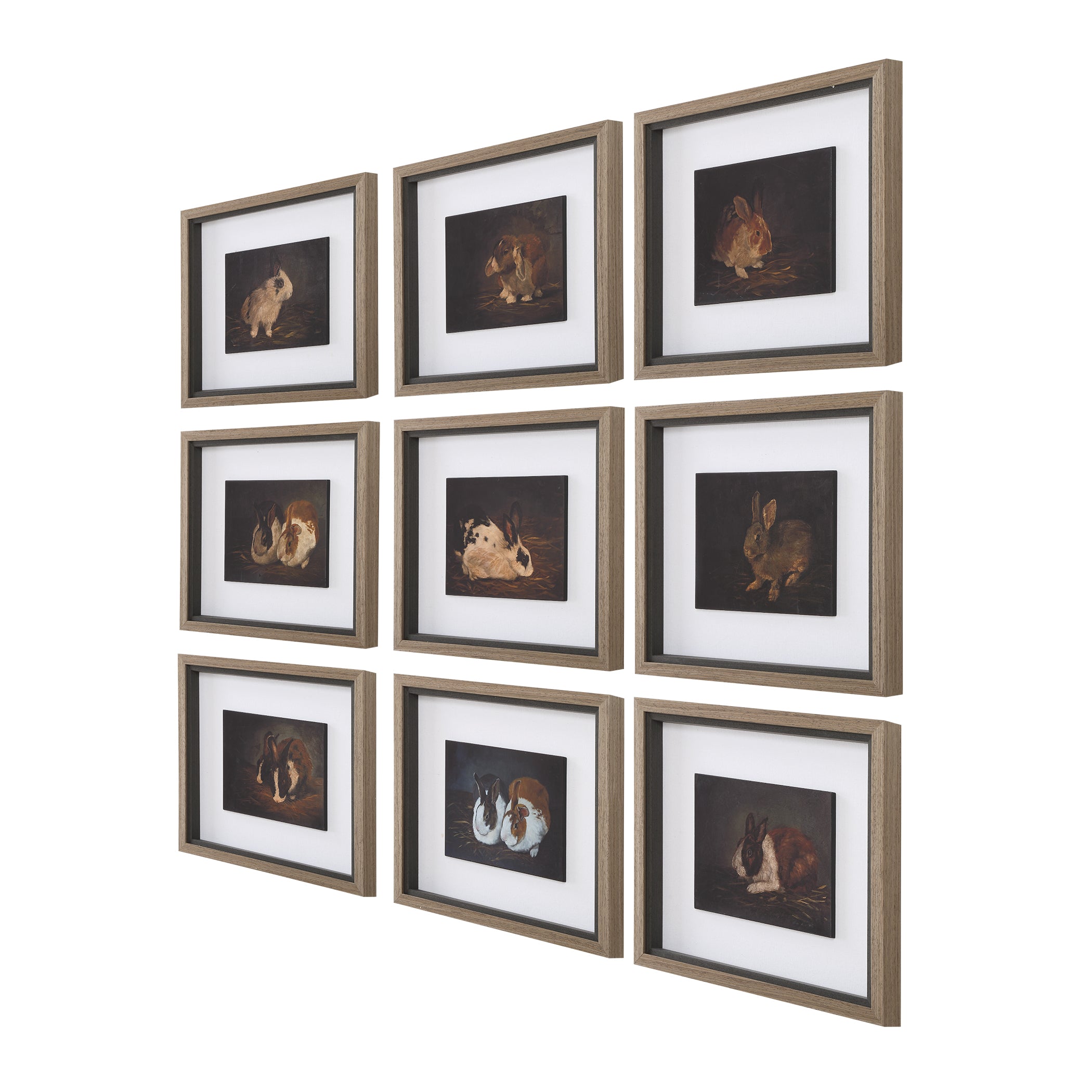 Uttermost Home Decor Uttermost Resting Bunny Framed Prints Set/9