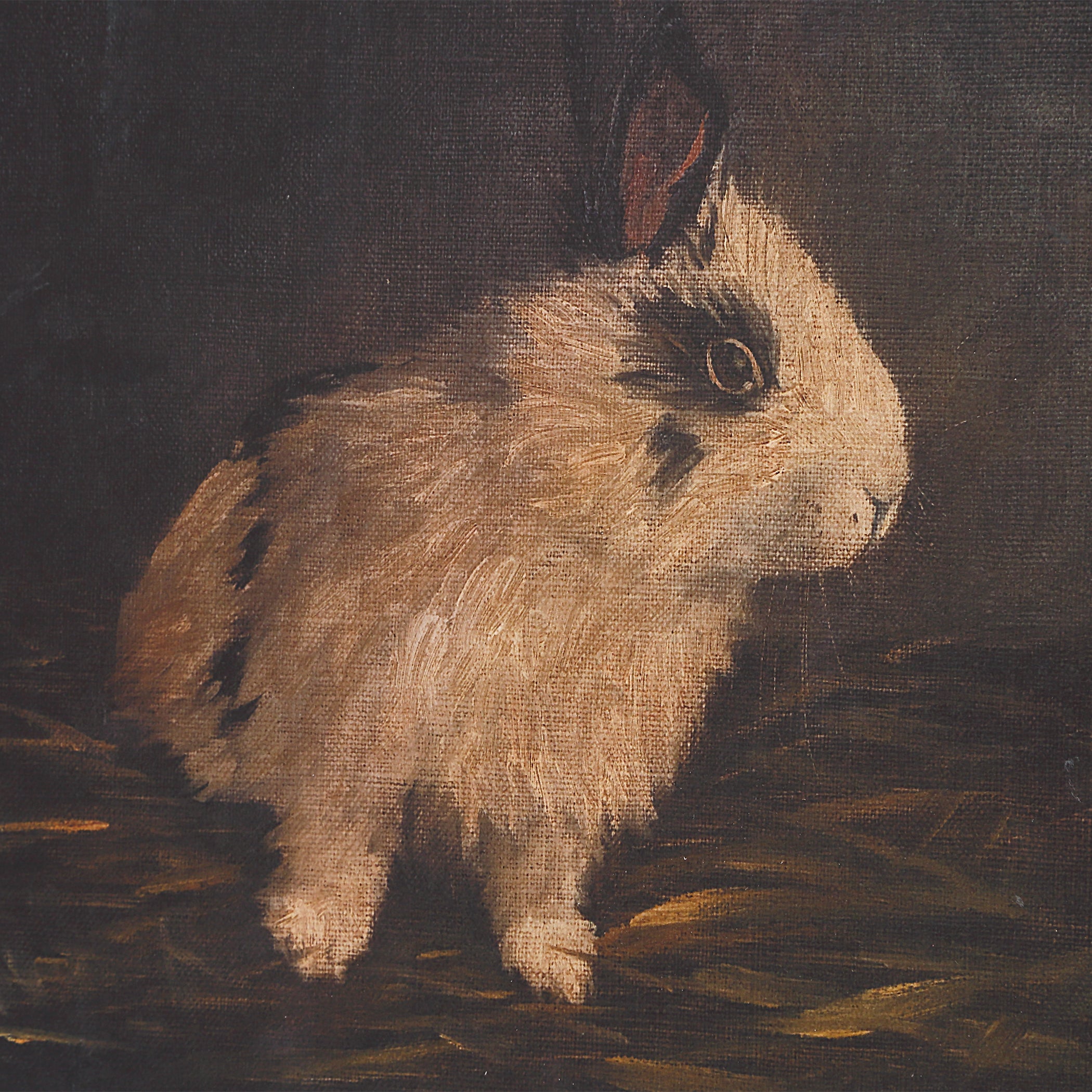 Uttermost Home Decor Uttermost Resting Bunny Framed Prints Set/9