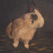 Uttermost Home Decor Uttermost Resting Bunny Framed Prints Set/9