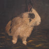 Uttermost Home Decor Uttermost Resting Bunny Framed Prints Set/9