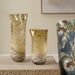 Uttermost Uttermost Rhine Seeded Glass Vases Set/2