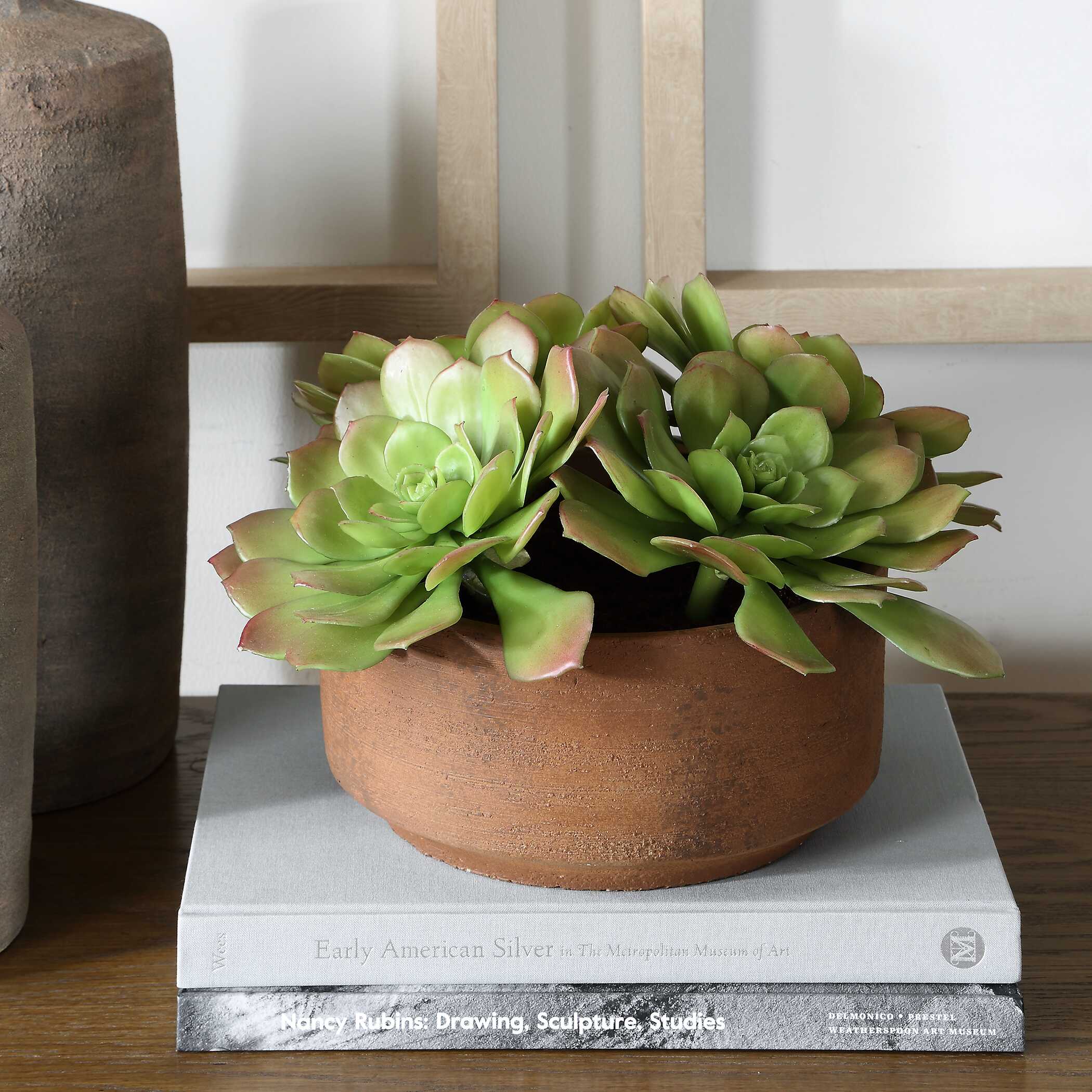 Uttermost Uttermost Sable Succulent Accent In Pot