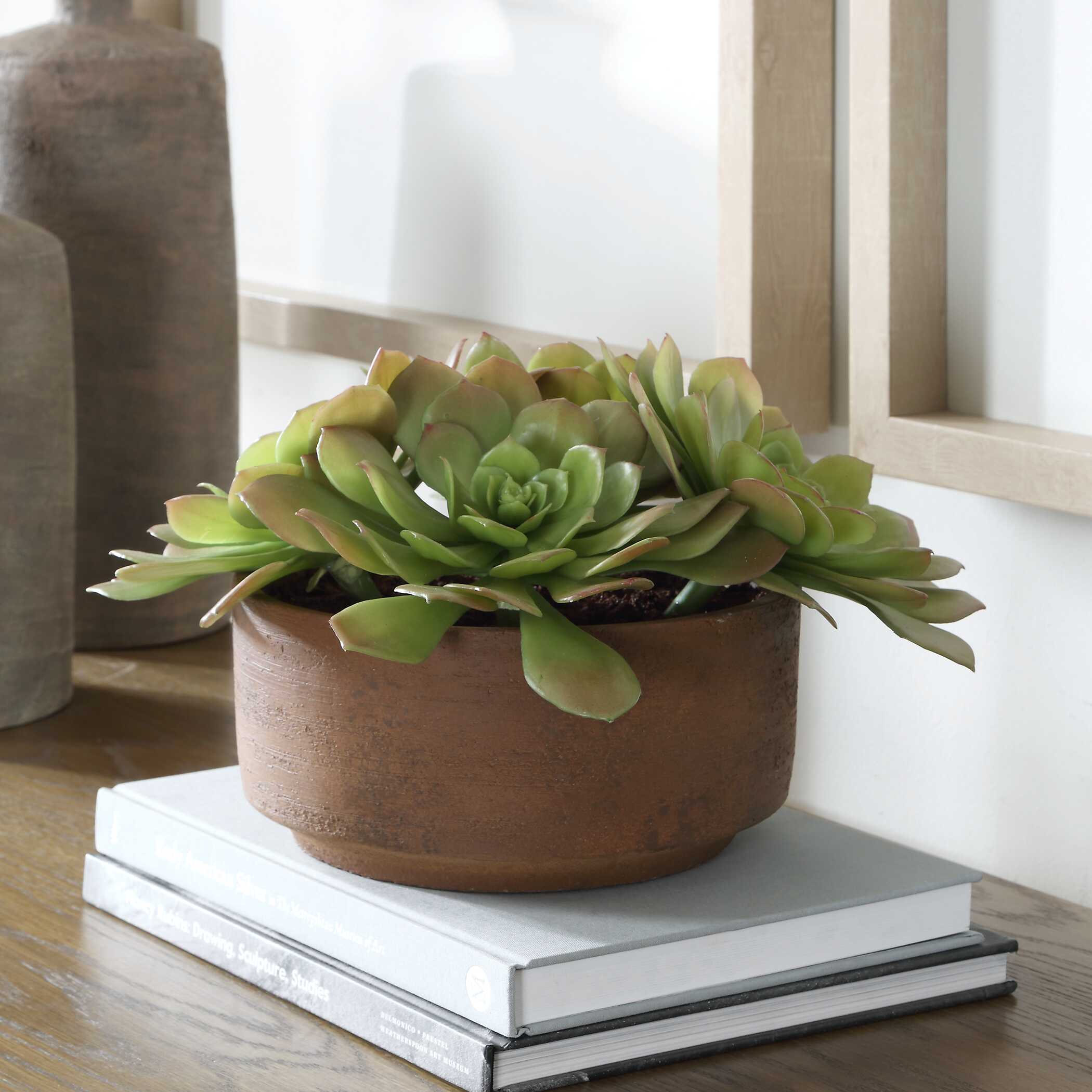 Uttermost Uttermost Sable Succulent Accent In Pot