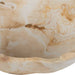 Uttermost Home Decor Uttermost Sahara Bloom Indoor-Outdoor Stone Bowl