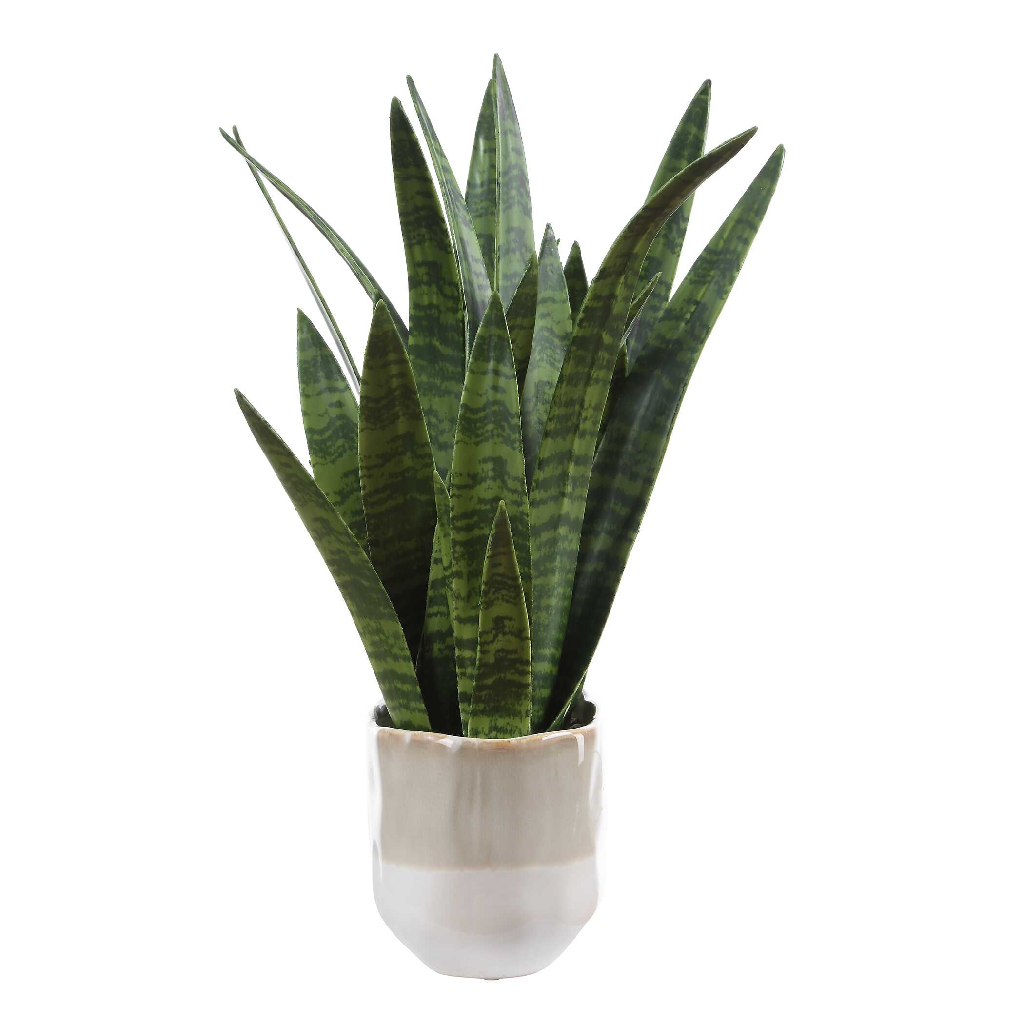 Uttermost Home Decor Uttermost Sansera Snake Accent Plant