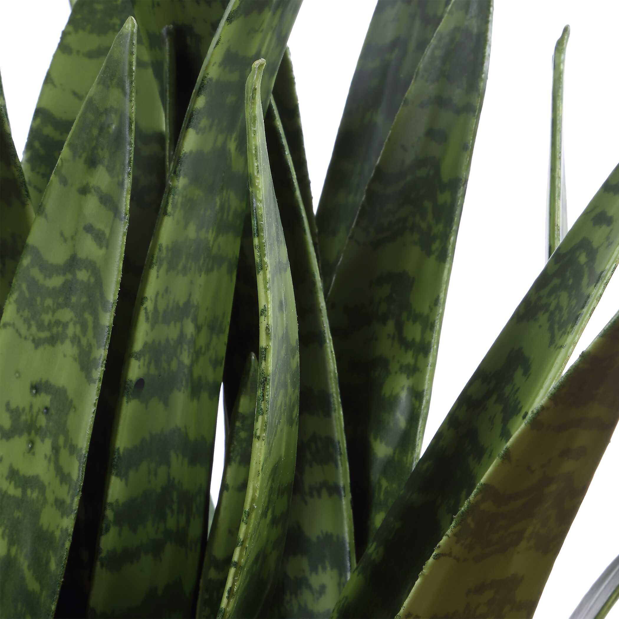 Uttermost Home Decor Uttermost Sansera Snake Accent Plant