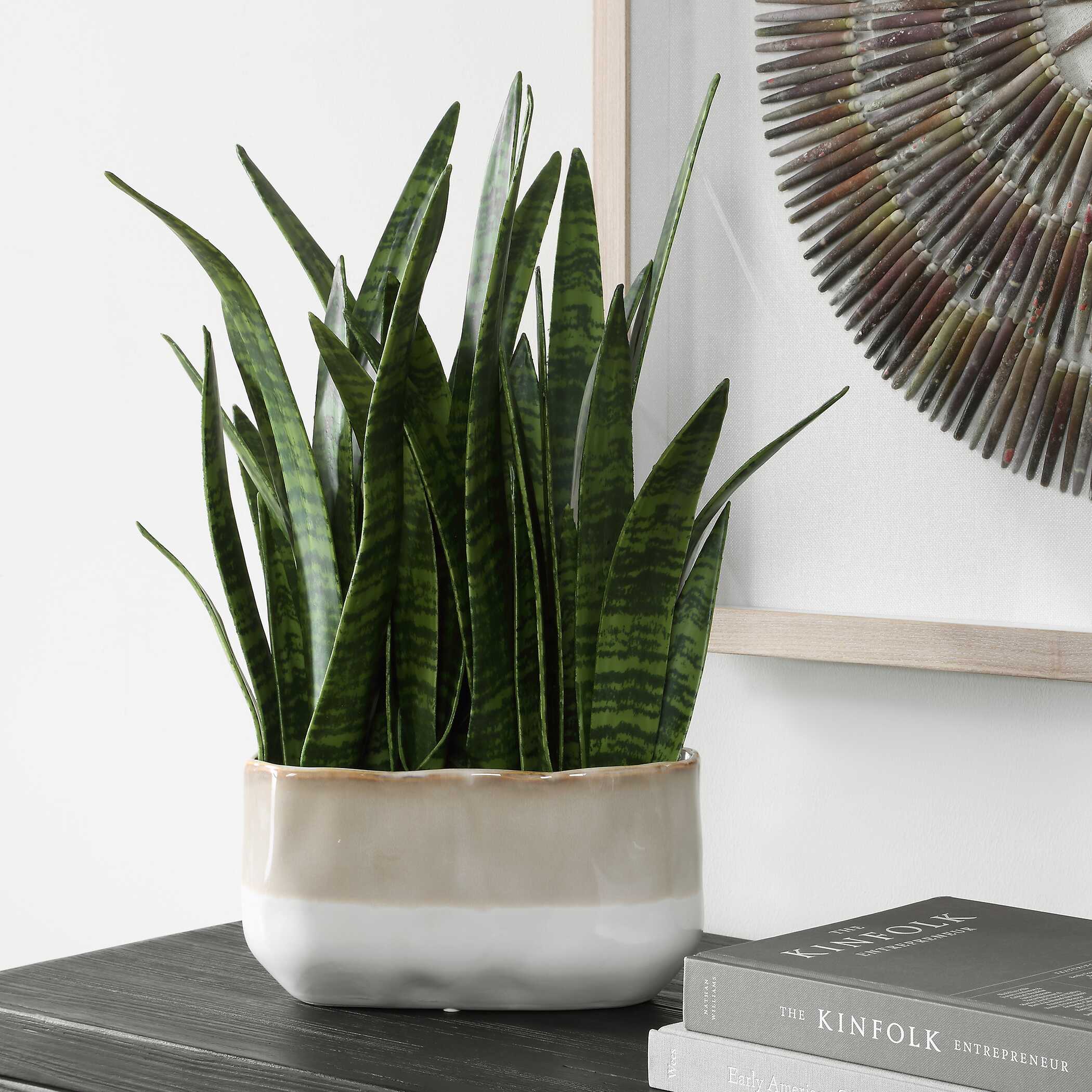 Uttermost Home Decor Uttermost Sansera Snake Accent Plant